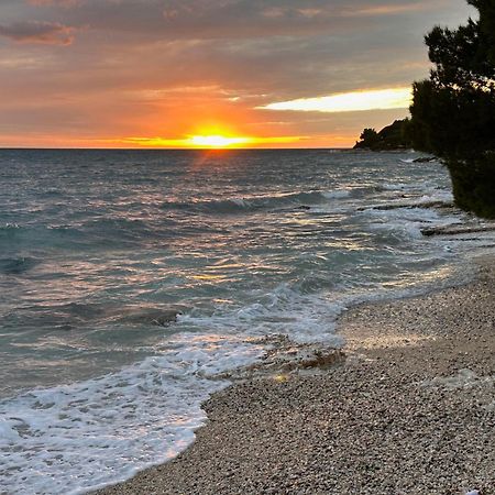 Villa Anthony Rovinj Exteriér fotografie