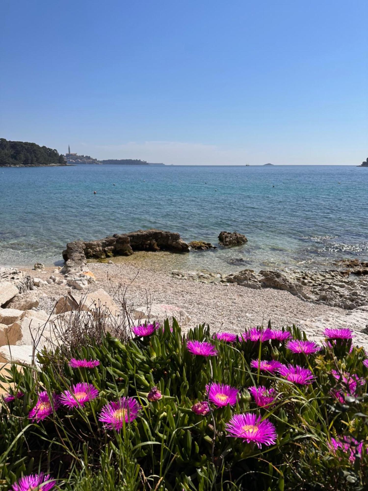 Villa Anthony Rovinj Exteriér fotografie