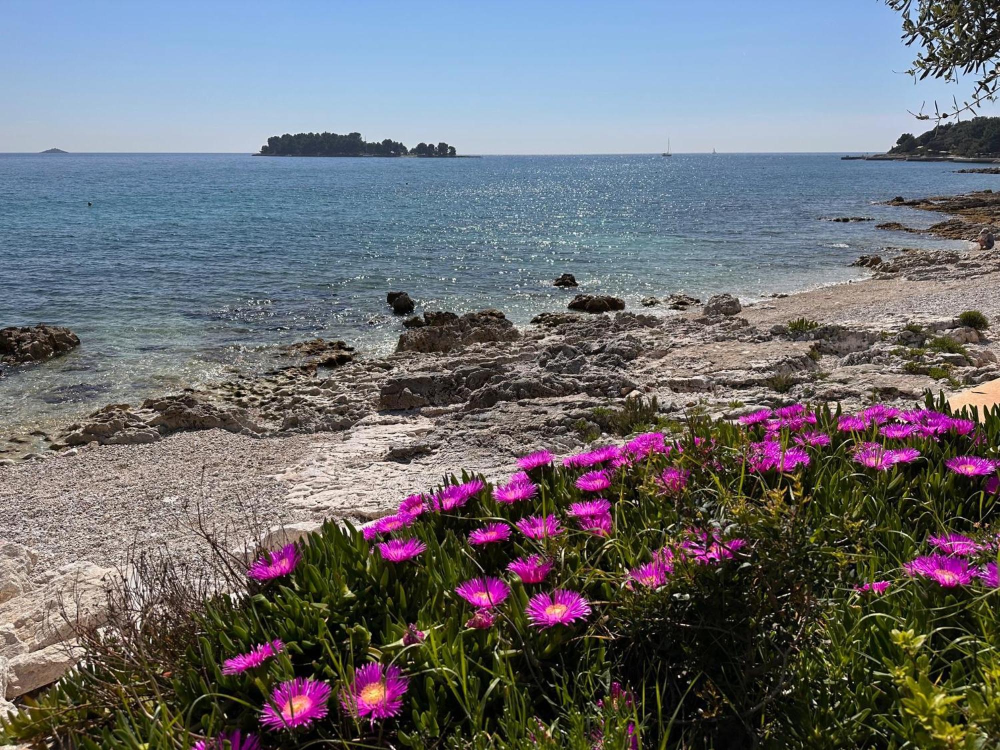 Villa Anthony Rovinj Exteriér fotografie